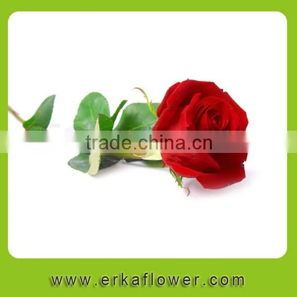 Diversified in Packaging Rose Wedding Bouquets photo-3