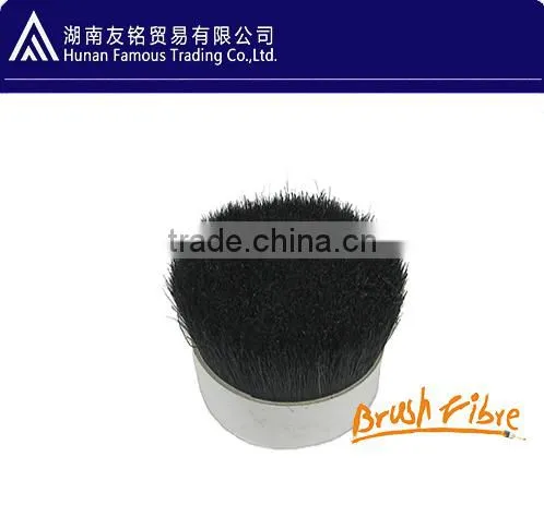 Boiled Bristle photo-2