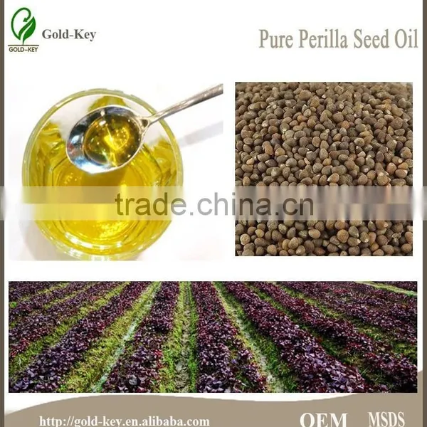 High Quality Perilla Seeds Extract, Perilla Seed Oil, Perilla Oil photo-2