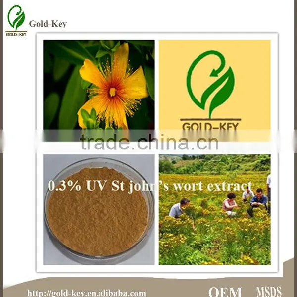 St. John's Wort P.E With Uv 0.3% St of Health Food for Best Selling photo-4