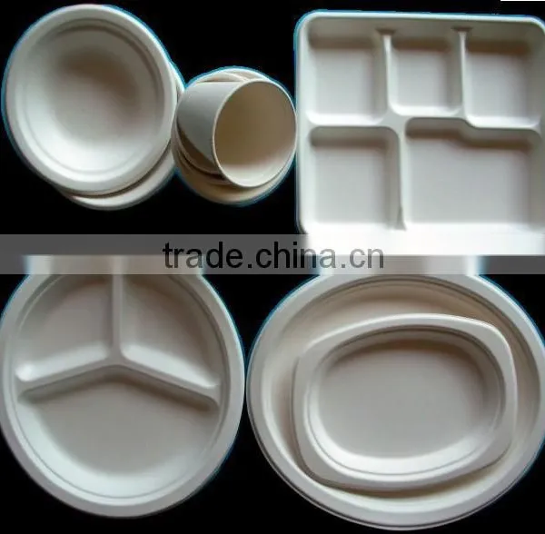 High Quality Eco-Friendly Sugarcane Tableware for Sale
