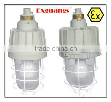 BAD81 Explosion proof light