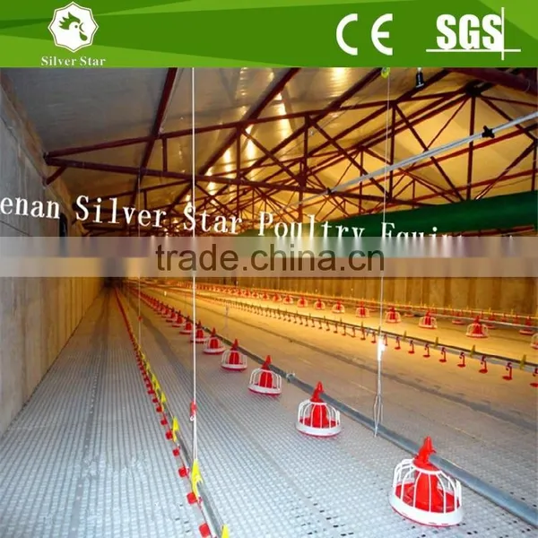 Full Automatic Chicken Equipment Poultry Farming Shed photo-3