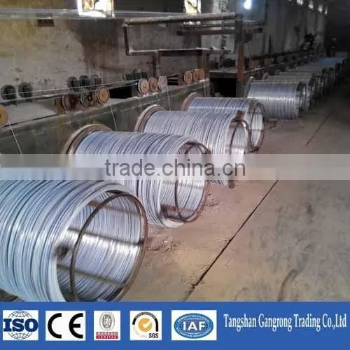 1mm Galvanized Wire photo-4