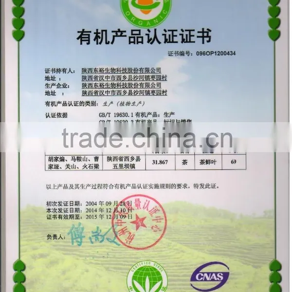 GMP Factory Supplys Green Tea Powder EGCG Antioxidant Products Instant Powder photo-5