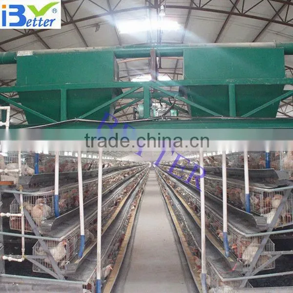 Automatic Feeding System