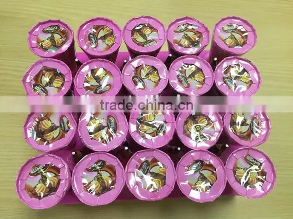 Ice Cream Shape Biscuits Chocolate Cup Candy photo-5