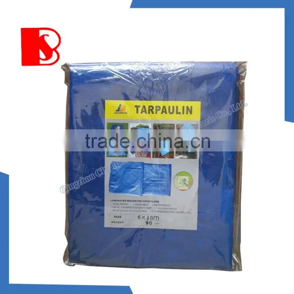Baosheng pe Plastic Tarpaulin Transparent Cover photo-4