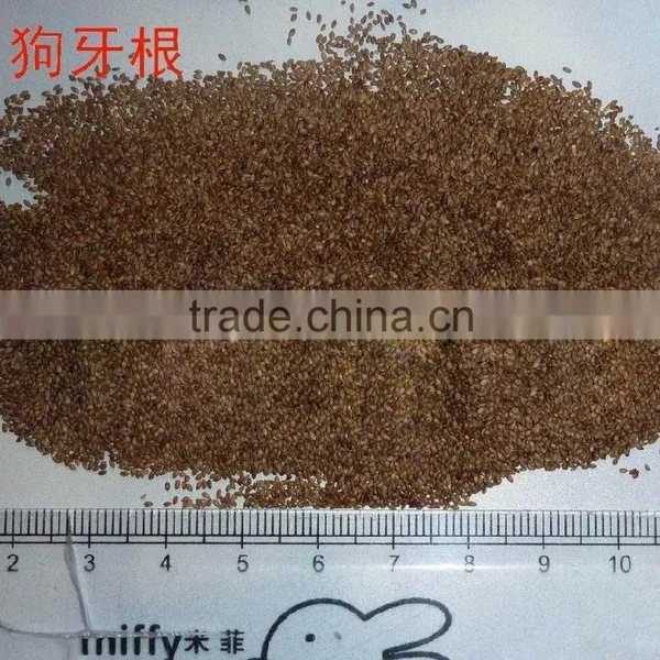 2016 New High Quality Grass Seeds Bermuda Grass Seeds For Sale photo-6