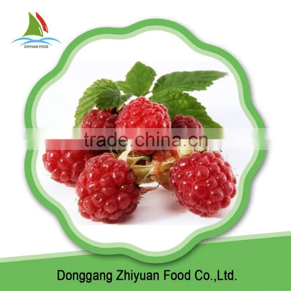 China 2016 New Crop IQF Frozen Red Raspberry for Export photo-5