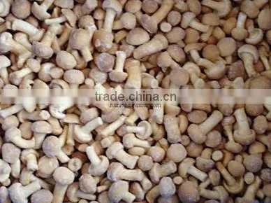 Highquality Frozen IQF Champignon photo-5