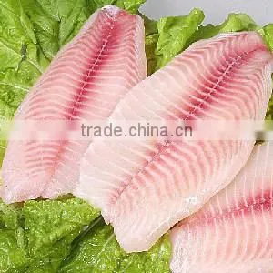 FGB-400 Best Selling Skinner Machine Fish Skin Removing Removal Machine photo-6