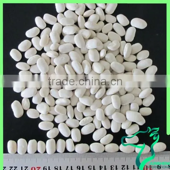 Nutritional Value Of White Kidney Beans Medium Size Square Shape White Kidney Beans photo-2