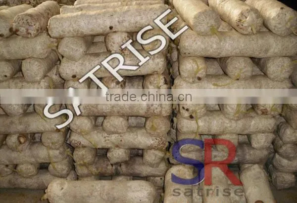Hot Sale From China Professional Manufacturer Shiitake Mushroom Log photo-4