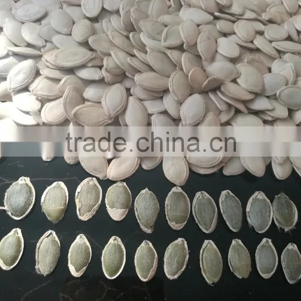 Snow White Pumpkin Seeds in Shell photo-6
