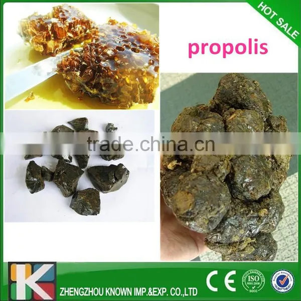 Raw Material Propolis for Health Food/Cosmetic Bee Propolis Price photo-2