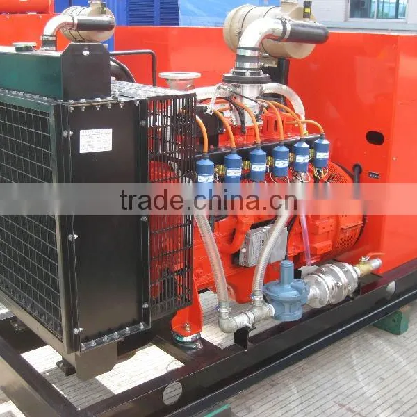 Camda Factory Biogas Generator Sets With/without Canopy 250kw Biogas Generator photo-2
