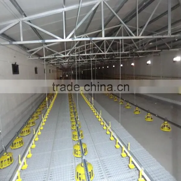 Automatic Auger Feeding System for Chicken House photo-3