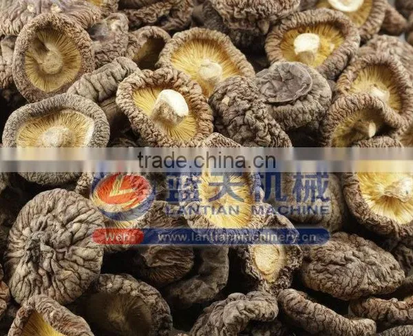Fruits And Vegetable Drying Machine photo-5