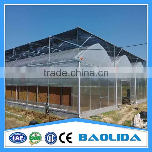 Plastic for Agricultural Greenhouse photo-4