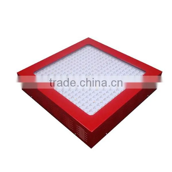 2014 Good Quality Light !!1000w Grow Lights for Sale Well Mushroom Growing Equipment photo-5