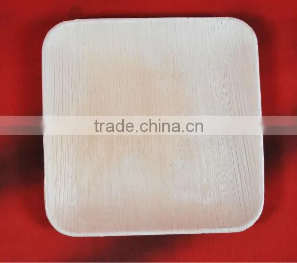 Biodegradable Tableware photo-4