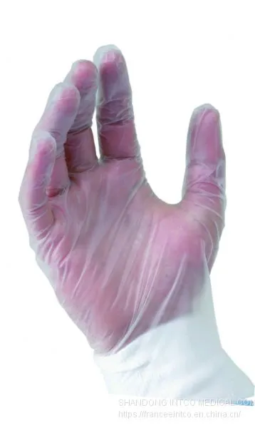 Powder-Free Disposable Vinyl Exam Glove Blue photo-3