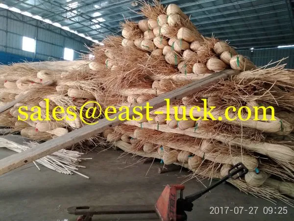 Rattan Cane / Loonty Kooboo photo-2