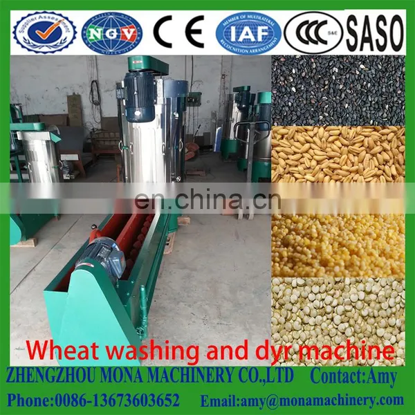 CE APPROVED Grain Washing Machine/sesame Drying Machine/Large Capacity Wheat Corn Soybean Sesame Skin Washing/Cleaning Machine photo-6