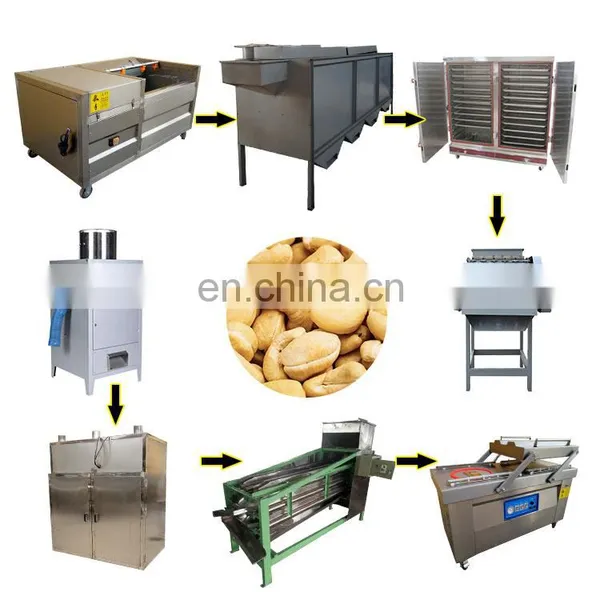 Cashew Nuts Processing Machine Hot Selling Cashew Nut Peeling Machine Cashew Nuts Steam Cooker Machine photo-4