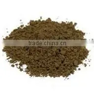 Superior Quality Organic Noni Powder Sale photo-4