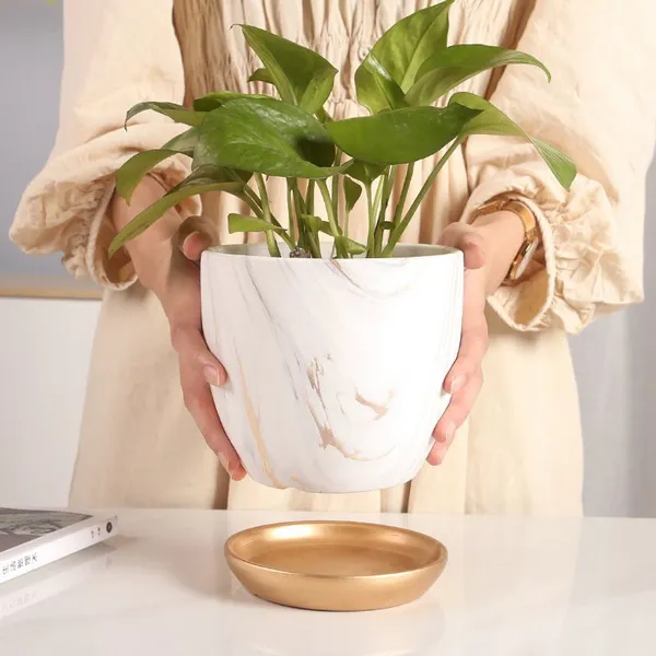 Marble Apple Nordic Style Popular Fashion Delicate Ceramic Flower Pot For Home Garden photo-4