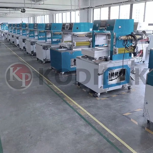 Meat and Beef Vacuum Skin Packing Machine photo-4