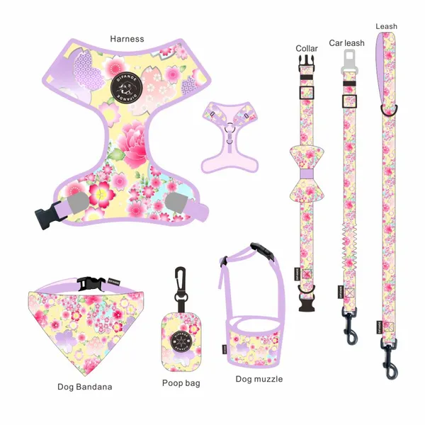 Pet Chest Back Pet Traction Rope Pet Collar Can be Customized According to Requirements Pet 7 Piece Set