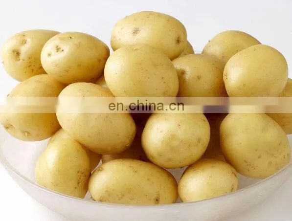Potato Washing/drying/sorting/grading Machine photo-5