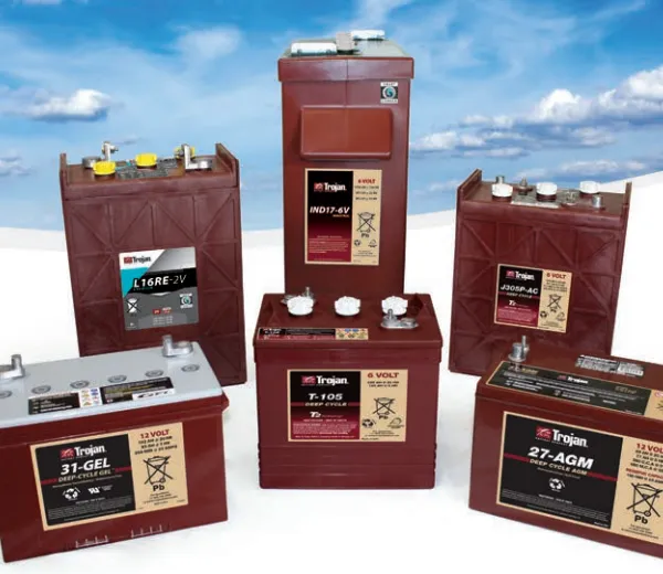 Qiu Jian Trojan Battery T-105 American Qiu Jian Battery 6V225AH Sightseeing Car T105 Floor Scrubber Battery photo-2