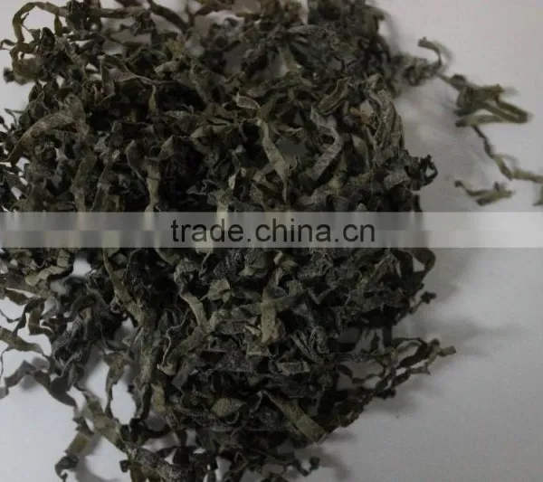 Sun Dried Kelp Slice, Manufacturer Supplier in Fujian China