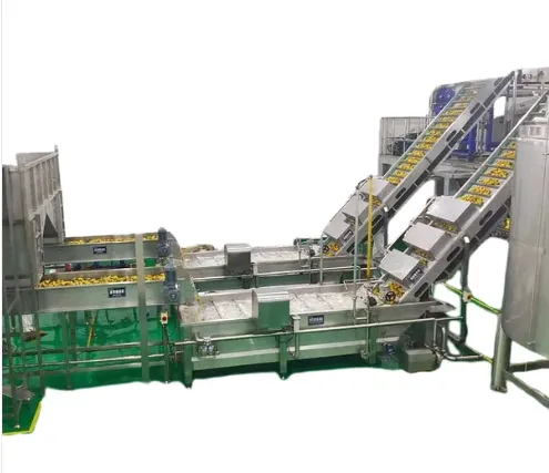 25T/H Automatic Pineapple Production Line photo-6
