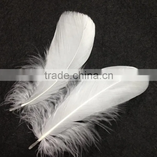Wholesale White Goose Feather for Sale Cheap