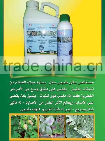 EGYPT Egypt organic agriculture Pesticides