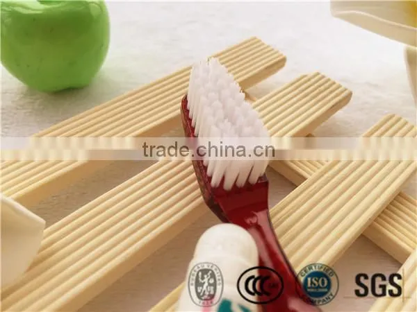 Travel Set Toothbrush With Toothpaste photo-4