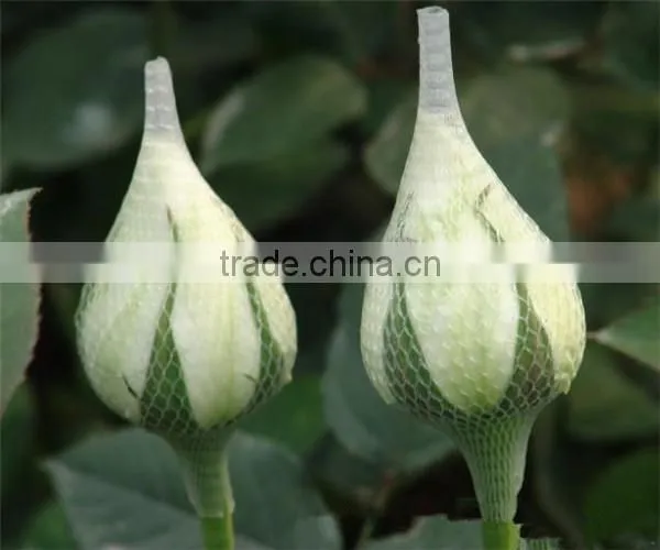 Plastic Flower Bud Net for Flowers photo-3