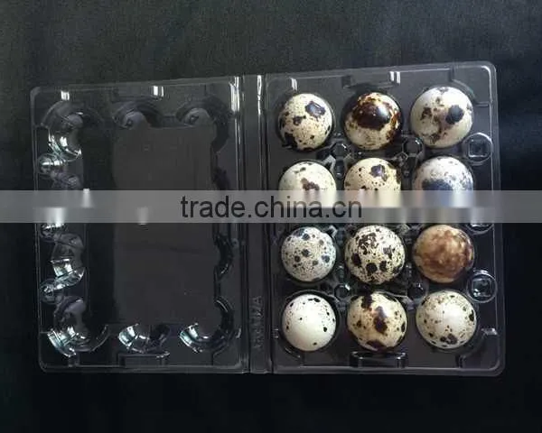 High Quality Disposable Plastic Eggs Tray Blister Packaging Quail Egg Tray 30 Holes Cells 30 Acounts Quality Choice photo-5