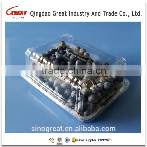 Good Quality Disposible Plastic Food PET Tray/strawberry/blueberry Clamshell Tray photo-3