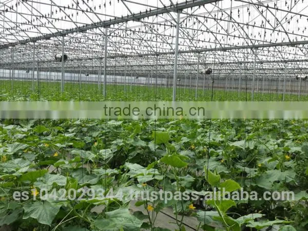 Greenhouse Climate Control System H2h Environment 1000 With Sensors photo-6