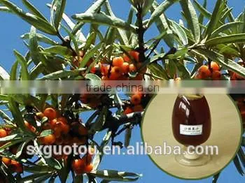 Organic Green Seabuckthorn Fruit Oil