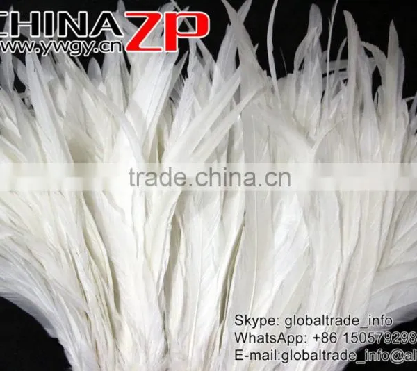NO.1 Supplier ZPDECOR Best Selling Bleached White Fully Dyed Roosters Chicken Feathers photo-3