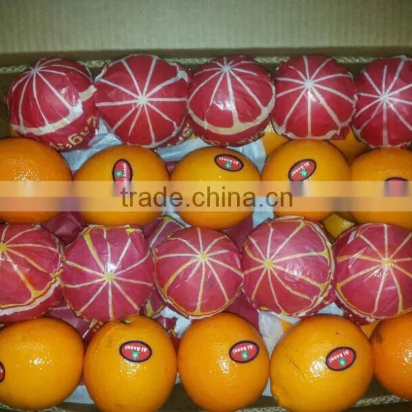 Avilable MOQ of Oranges and Lemons @ Forwell photo-5