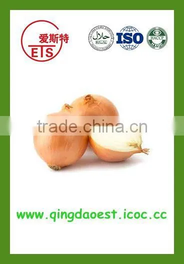Best Quality Fresh Onion From China photo-4