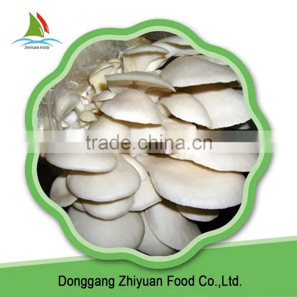 Cut Frozen Oyster Mushroom photo-2